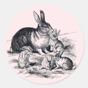 Sticker Rond A rabbit family - vintage