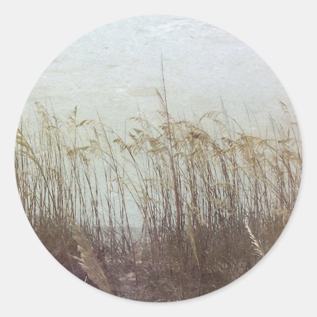 Sticker Rond A travers les Dunes II (Devant)