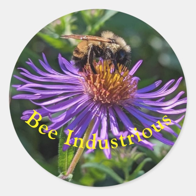 Sticker Rond Abeille industrielle (Devant)