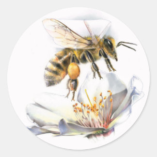Sticker Rond abeille sur fleur