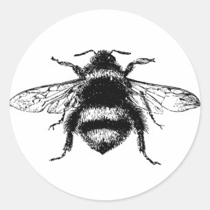 Sticker Rond Abeille vintage