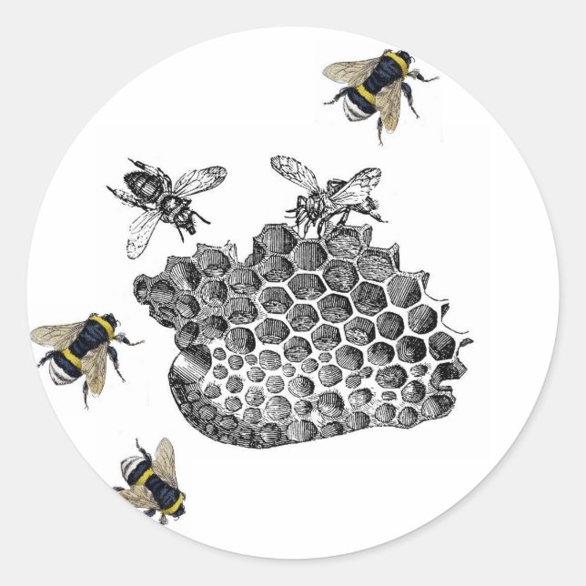 Sticker Rond Abeilles vintages (Devant)