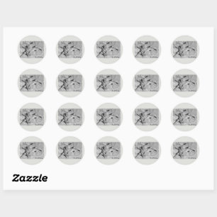 Sticker Rond Abstrait de cygne noir