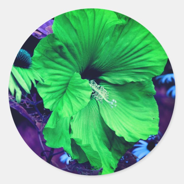 Sticker Rond Abstraite de fleurs d'Hibiscus vert (Devant)