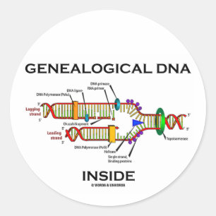 Sticker Rond ADN généalogique à l'intérieur (réplication de l'A