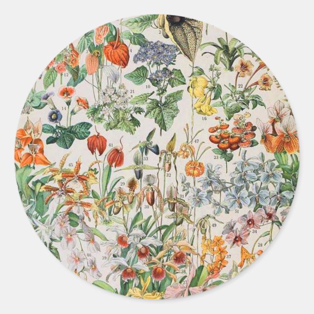 Sticker Rond Adolphe Millot fleurs D (Devant)