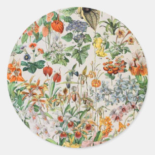 Sticker Rond Adolphe Millot fleurs D