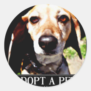 Sticker Rond Adopter apet, Nous avons besoin d'amour aussi_