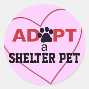 Sticker Rond Adopter un animal domestique