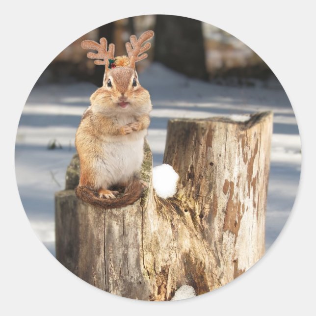 Sticker Rond Adorable "Reindeer" Chipmunk (Devant)