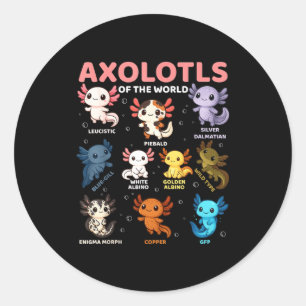 Sticker Rond Adorables Axolotls Kawaii Du Monde Drôle Ty Axolot