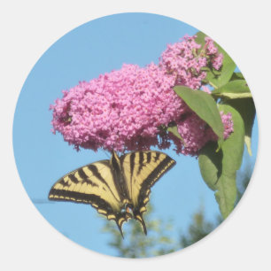 Sticker Rond Adulte de tigre jaune sur papillon rose Bush Fl