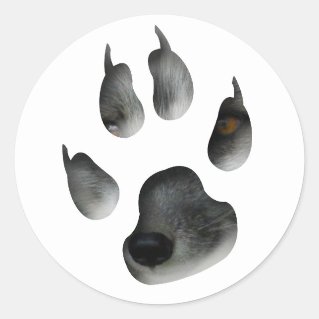 Sticker Rond AFG Arctic Fox Glimpse (Devant)