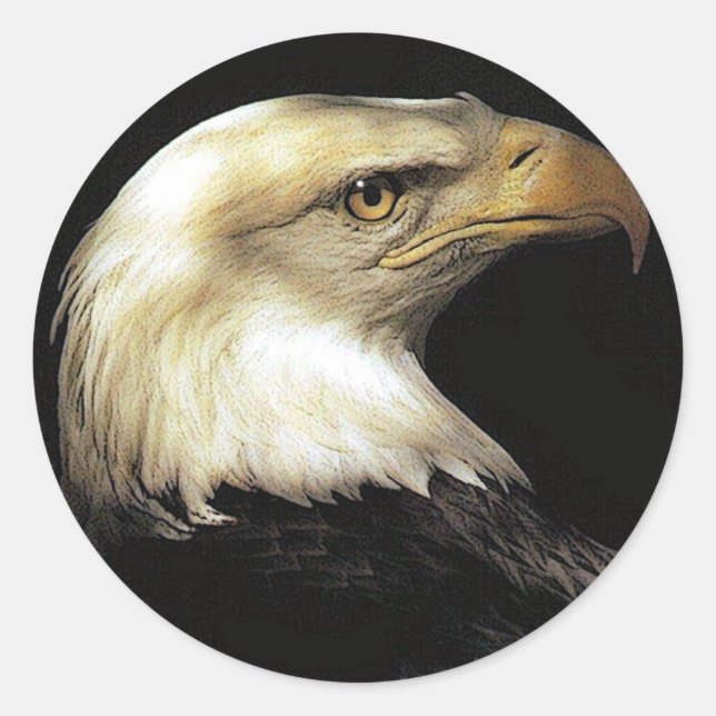 Sticker Rond Aigle (Devant)