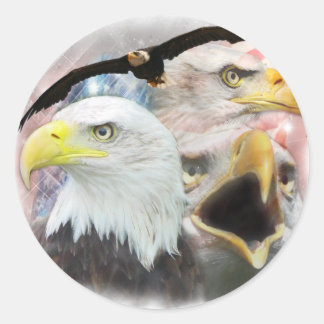 Sticker Rond Aigles blad