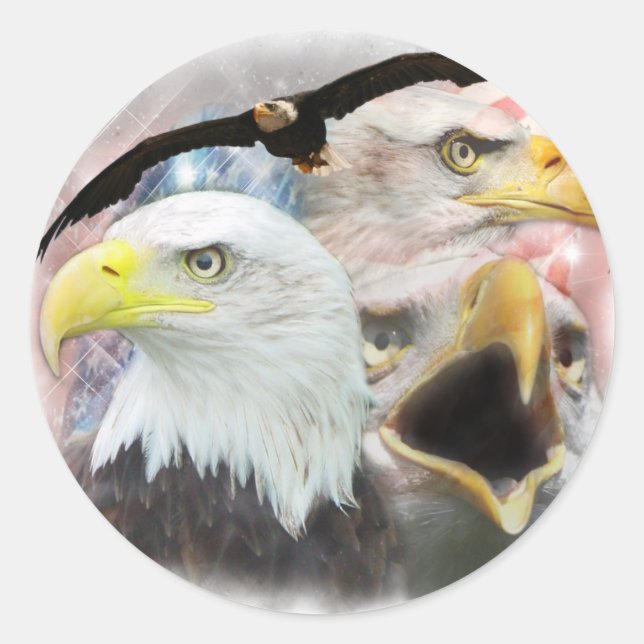 Sticker Rond Aigles blad (Devant)