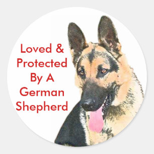 Sticker Rond Aimé Et Protégé Par Un Berger Allemand