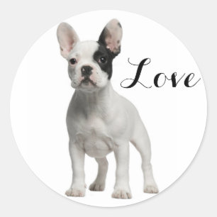 Sticker Rond Aimer le Chien-Chien-Chien-Chien-Chien-Chien-Chien