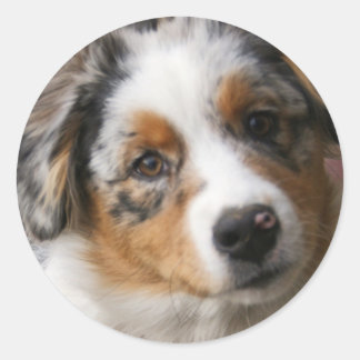 Sticker Rond Aimer mon Australien