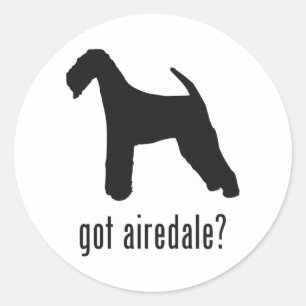 Sticker Rond Airedale Terrier