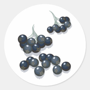 Sticker Rond airelles