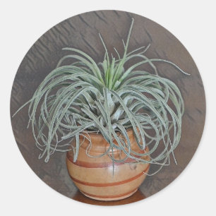 Sticker Rond Airplant Oaxacana