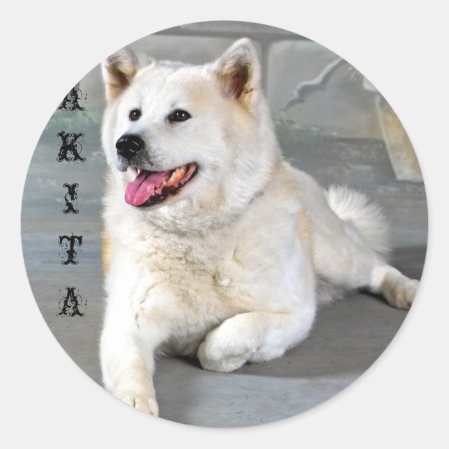Sticker Rond Akita (Devant)