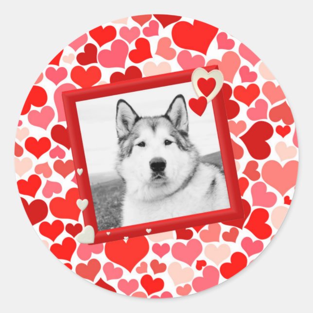 Sticker Rond Alaskan Malamute Chien Valentines Coeur (Devant)