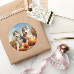 Sticker Rond Alaskan Malamute Chiot Automne Citrouille délice