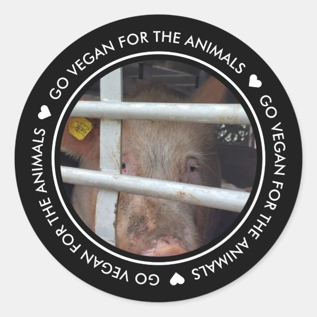 Sticker Rond Allez Vegan Pour Les Animaux Photo Noire (Devant)
