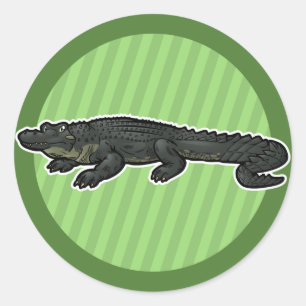 Sticker Rond Alligator américain