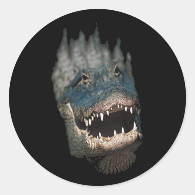 Sticker Rond Alligator Head Shot Huge reptiles (Devant)