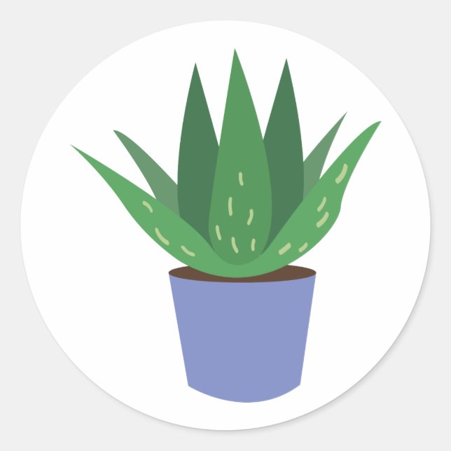 Sticker Rond Aloe Plante (Devant)