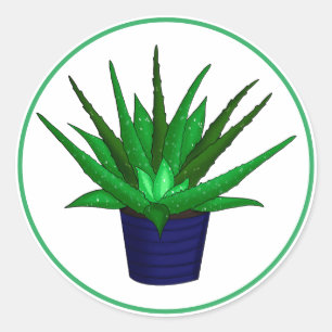 Sticker Rond Aloe Vera Peinture De Ménage Dessinée À La Main