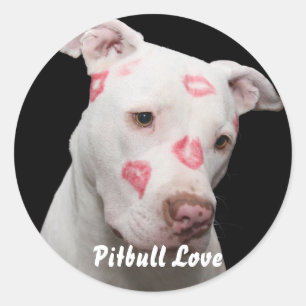 Sticker Rond Amant Editable de Pitbull