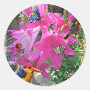 Sticker Rond Amaryllis
