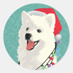 Sticker Rond American Eskimo Samoyé mignon Chien Chien Chien Ch