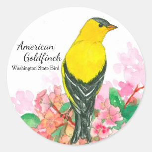 Sticker Rond American Goldfinch Washington State Bird Jaune