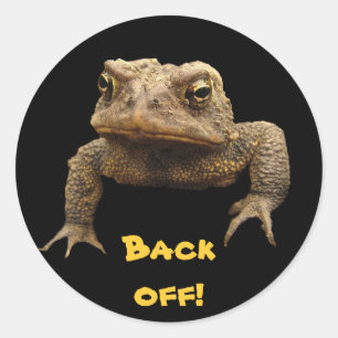 Sticker Rond American Toad