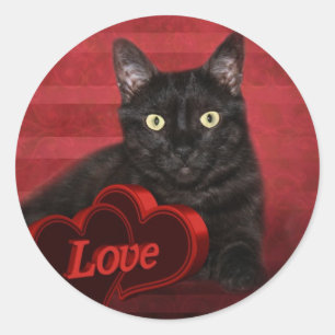 Sticker Rond Amour du chat noir
