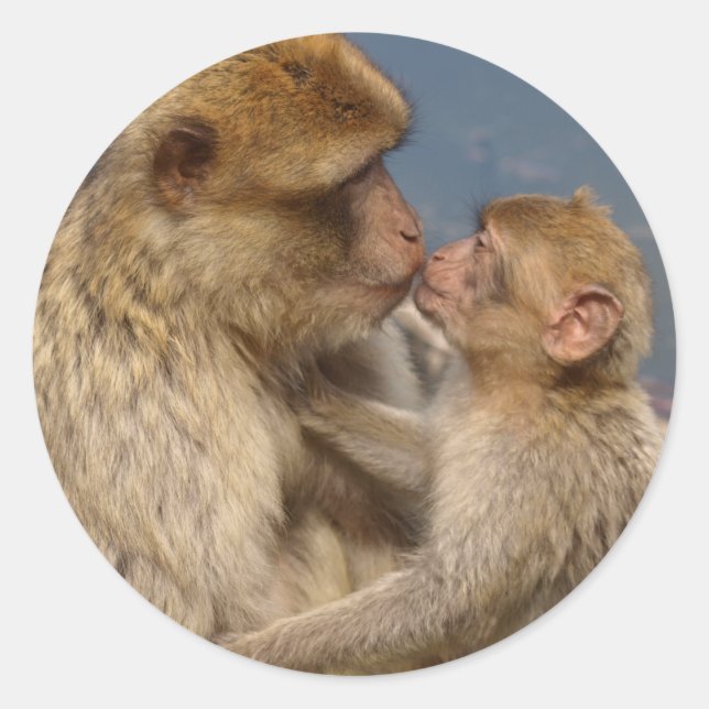 Sticker Rond Amour singe (Devant)