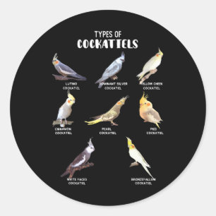 Sticker Rond Amusant perroquet Animaux de compagnie Types de Co