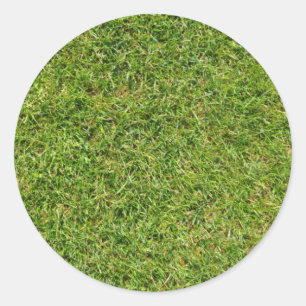Sticker Rond Amusante pelouse verte