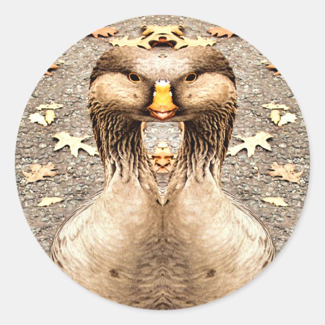 STICKER ROND AMUSEMENT ANIMAL (Devant)