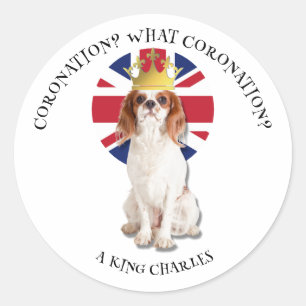 Sticker Rond AMUSER QUEL CORONNEMENT Roi Charles Spaniel