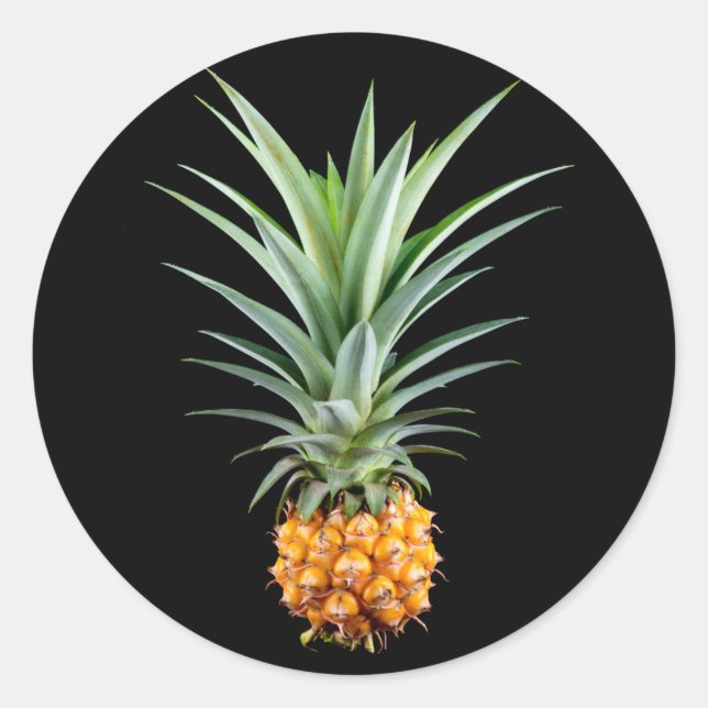 Sticker Rond Ananas avec grande coiffure sur arrière - plan noi (Devant)