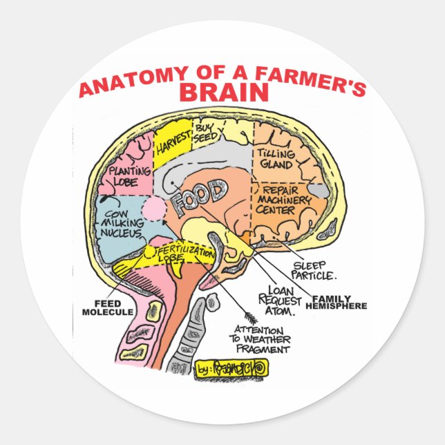 STICKER ROND ANATOMIE DU CERVEAU D'UN AGRICULTEUR (Devant)