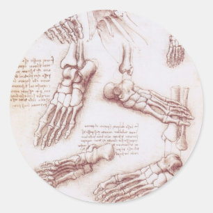 Sticker Rond Anatomie du pied osseux de Léonard de Vinci