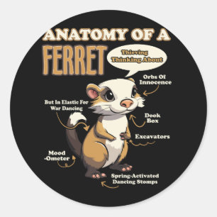 Sticker Rond Anatomie D'Un Amant De Ferret Animaux Ferret O