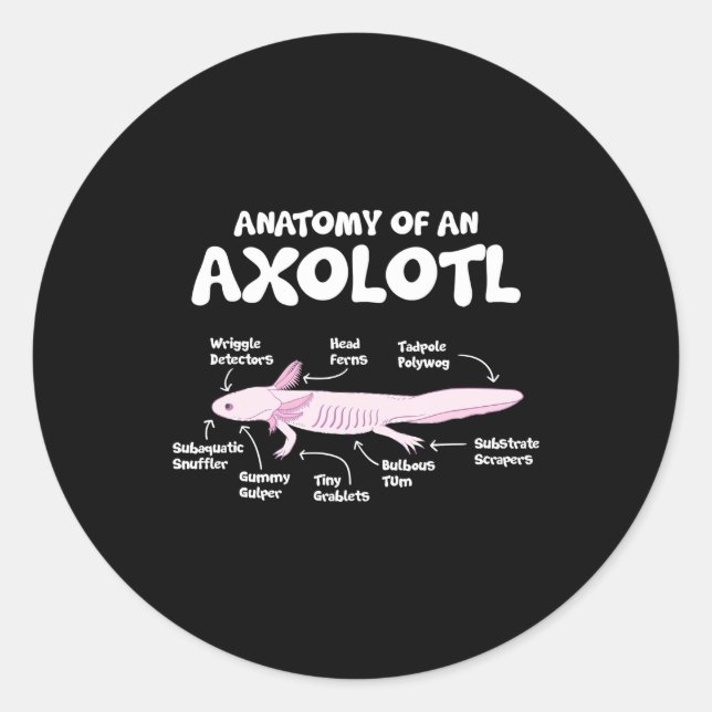 Sticker Rond anatomie d'un axolotl axolotls biologie science (Devant)